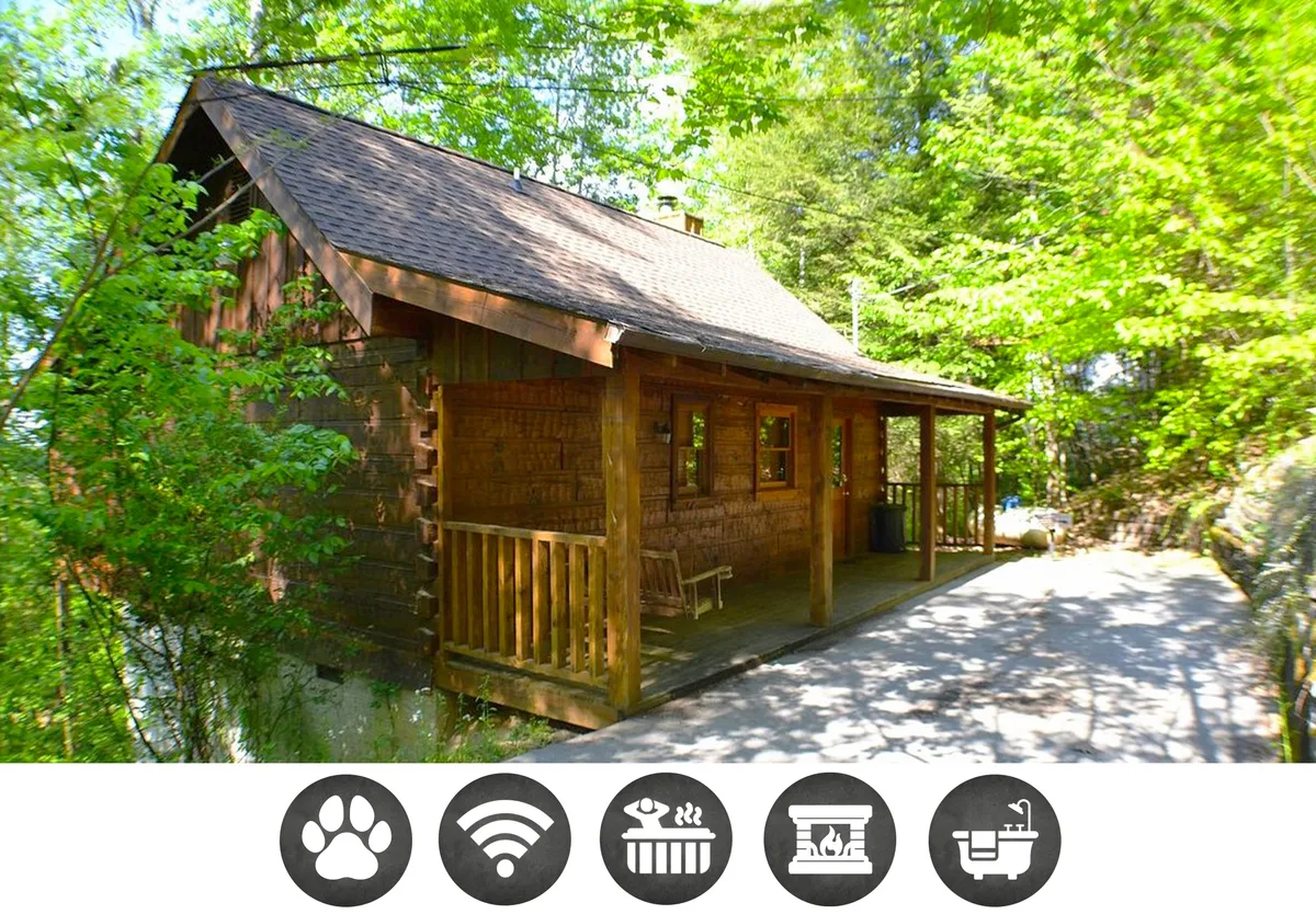 The hero image shows a charming wooden cabin nestled amid vibrant, lush greenery. A cozy porch swing sits invitingly on the front porch, perfect for relaxing and taking in the peaceful Smoky Mountain surroundings. The tranquil setting suggests quiet mornings with coffee or evenings spent stargazing.